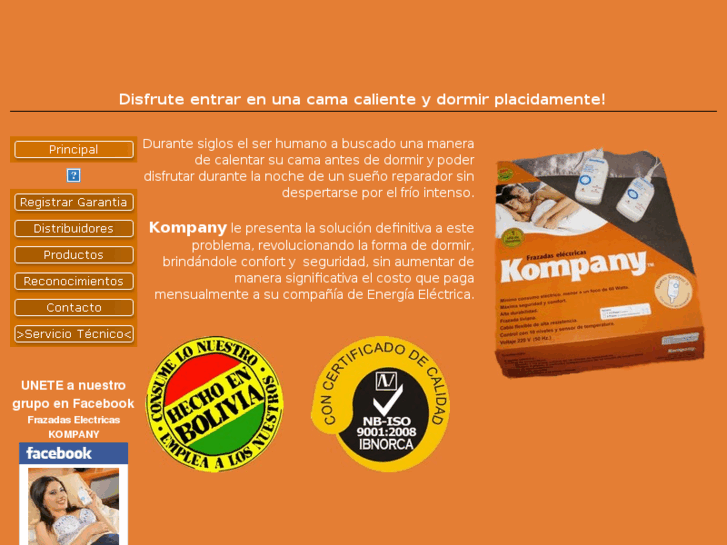 www.frazadaselectricas.com