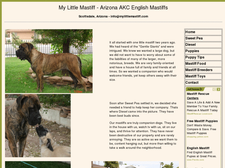 www.mylittlemastiff.com