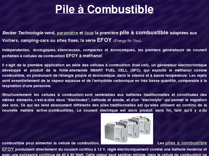 www.pile-combustible.fr