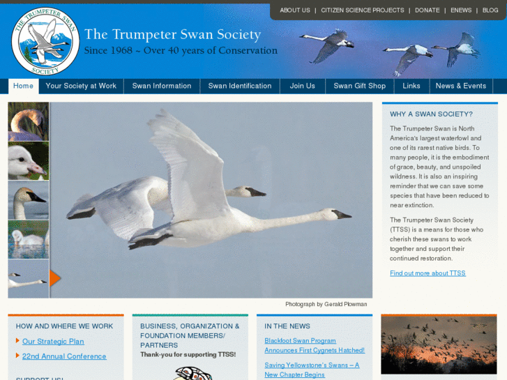 www.swansociety.org