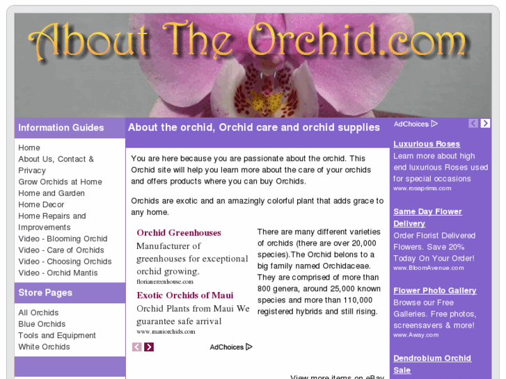 www.abouttheorchid.com