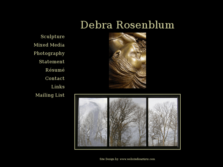 www.debrarosenblum.com