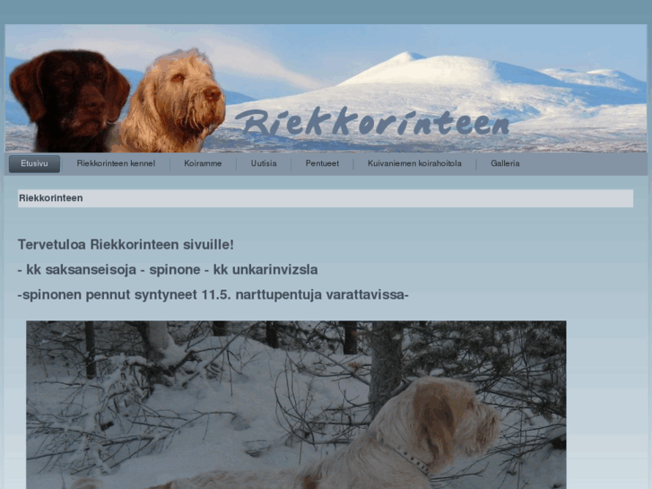 www.riekkorinteen.com