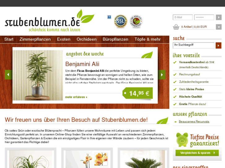 www.stubenblumen.de