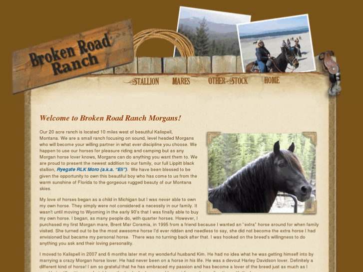 www.brokenroadranchmorgans.com