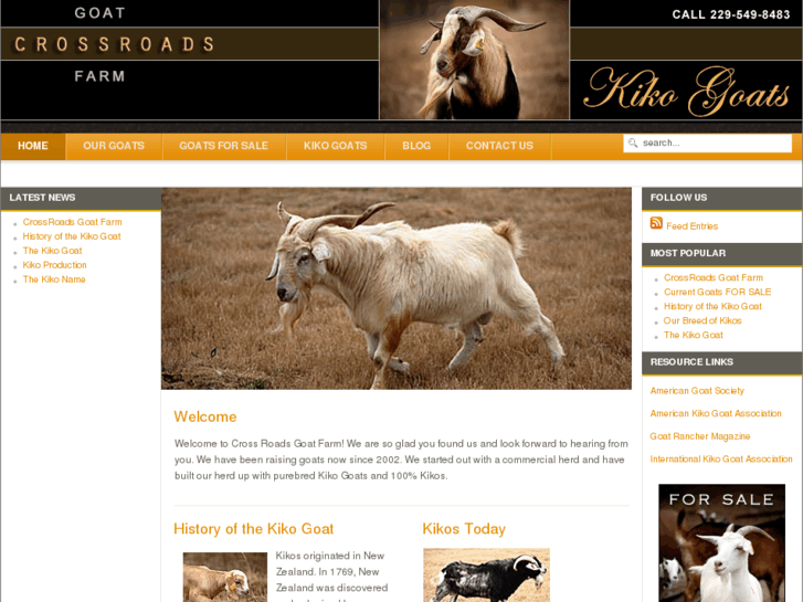 www.crossroadsgoatfarm.com