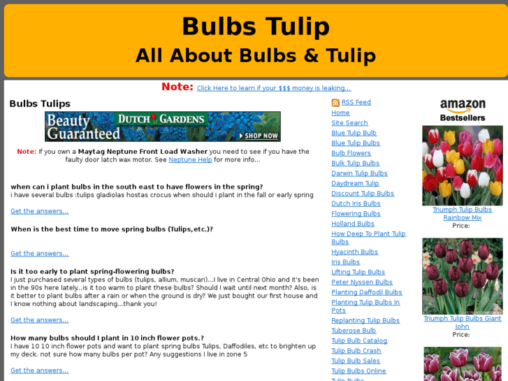 www.bulbstulip.com