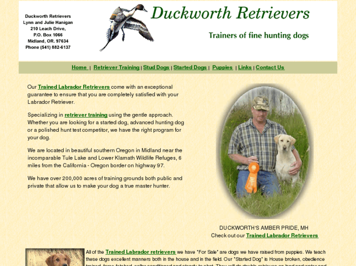 www.duckworthretrievers.com