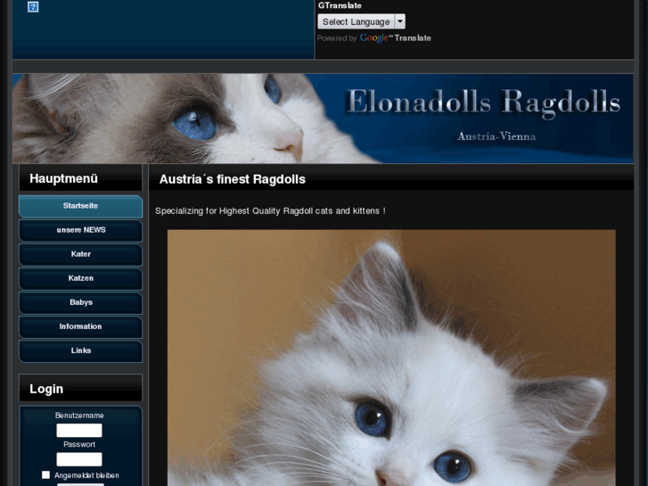 www.elona-ragdolls.at