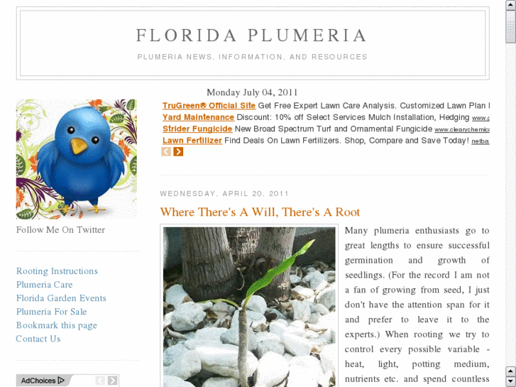 www.floridaplumeria.com