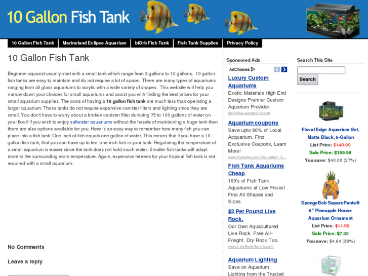 www.10gallonfishtank.com