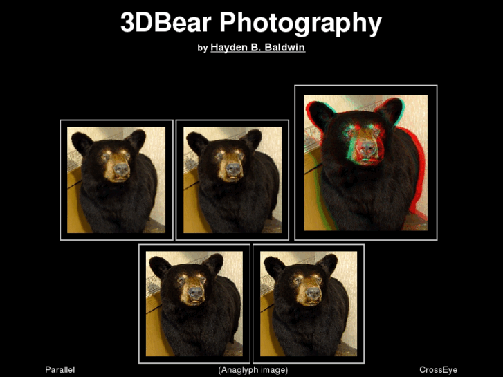 www.3dbear.net