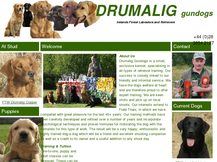 www.drumaliggundogs.com