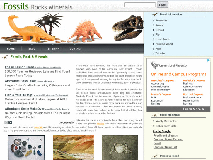 www.fossils-rocks-minerals.com