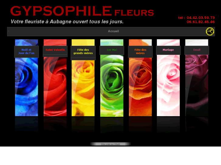 www.gypsophile-fleurs.com