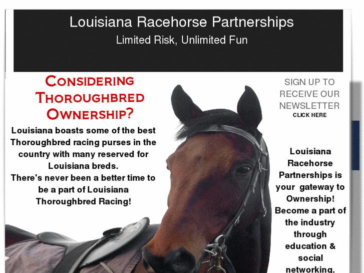 www.louisianaracehorse.com