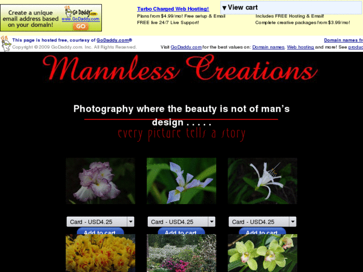 www.mannlesscreations.com