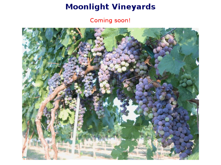 www.moonlightvineyards.com