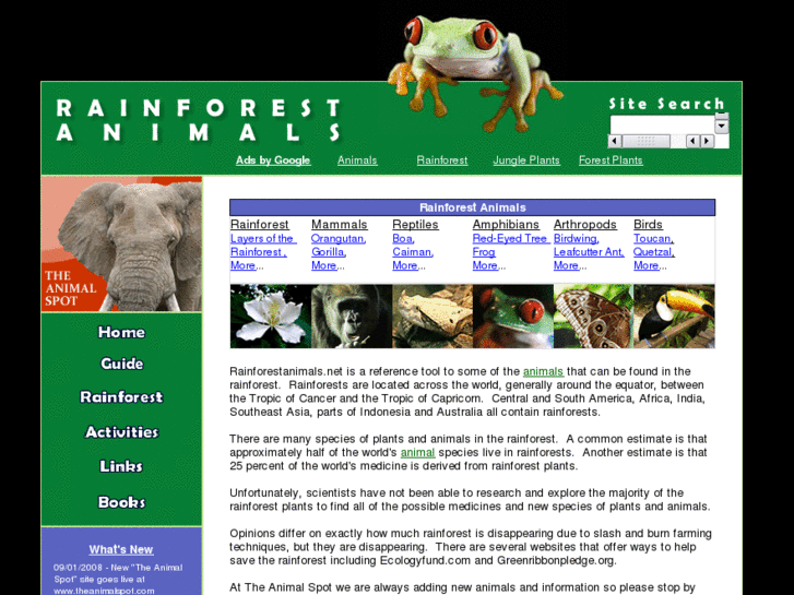 www.rainforestanimals.net