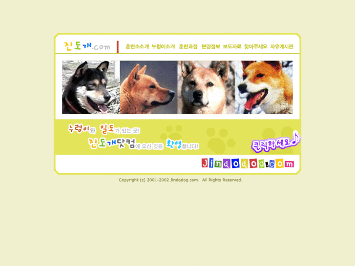 www.jindodog.com
