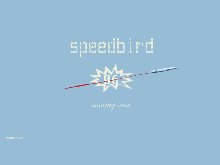 www.speedingbird.com