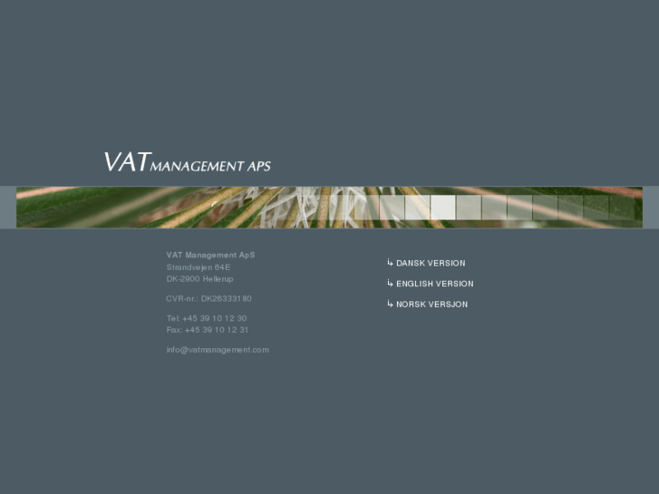 www.vatmanagement.com