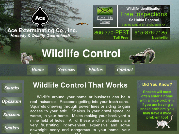 www.acewildlifeinfo.com