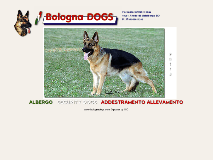 www.bolognadogs.com