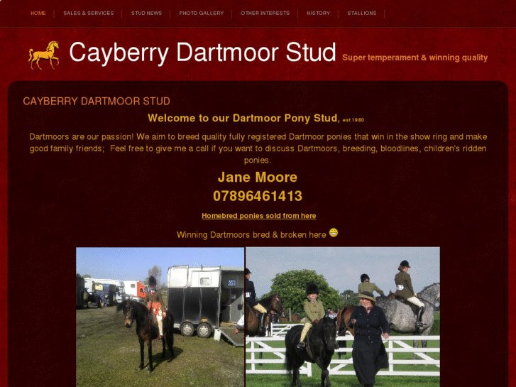 www.cayberrydartmoors.com