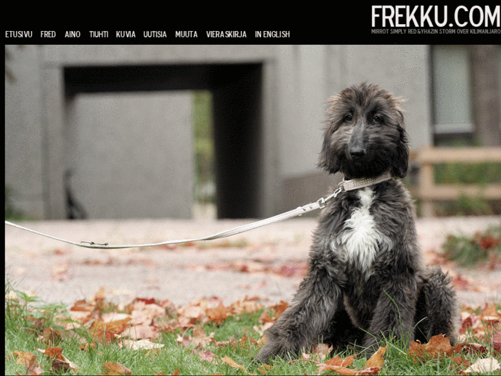 www.frekku.com