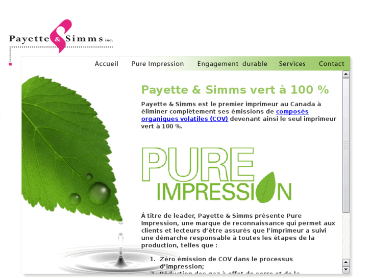 www.payetteetsimms.com