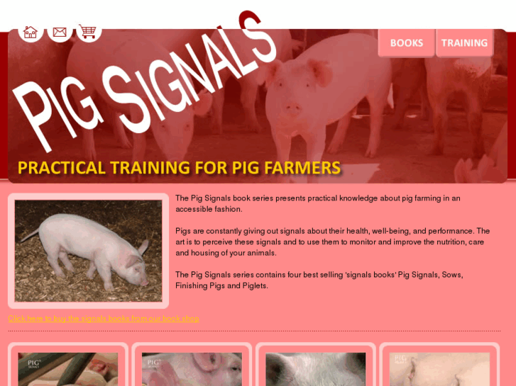 www.pig-signals.com