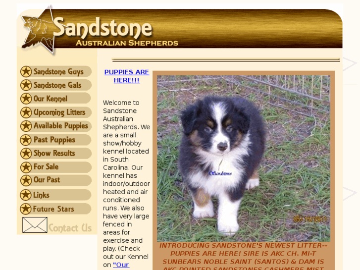 www.sandstoneaussies.com