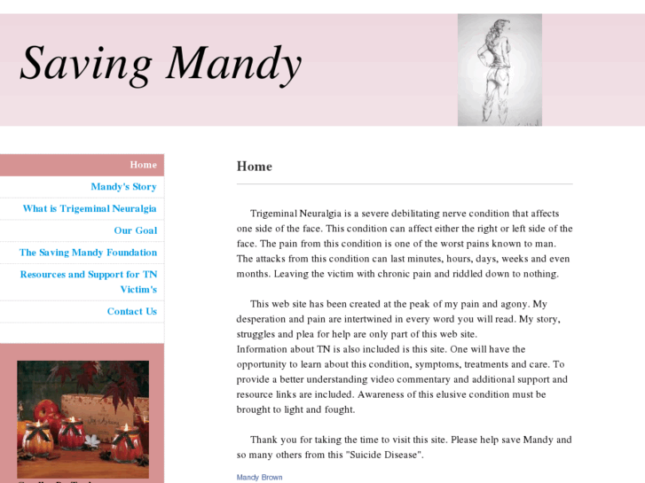 www.saving-mandy.com