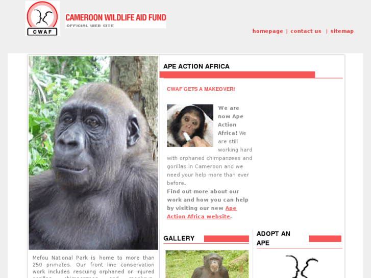 www.cwaf.org