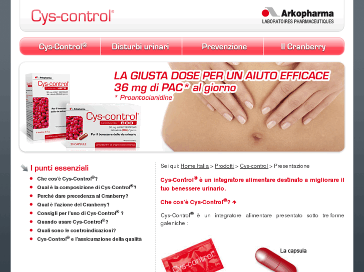 www.cyscontrol.it