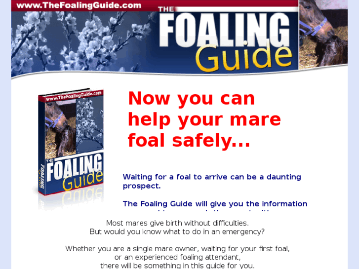 www.foaling-info.com