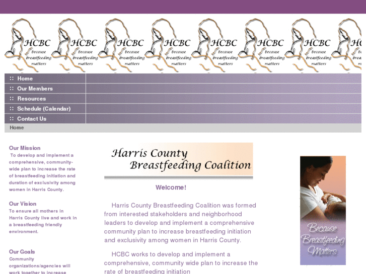 www.harriscountybreastfeedingcoalition.org