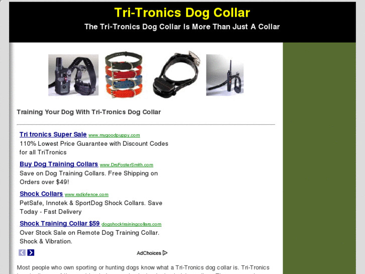 www.tri-tronicsdogcollar.com