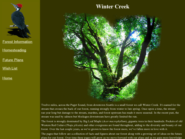 www.wintercreek.org