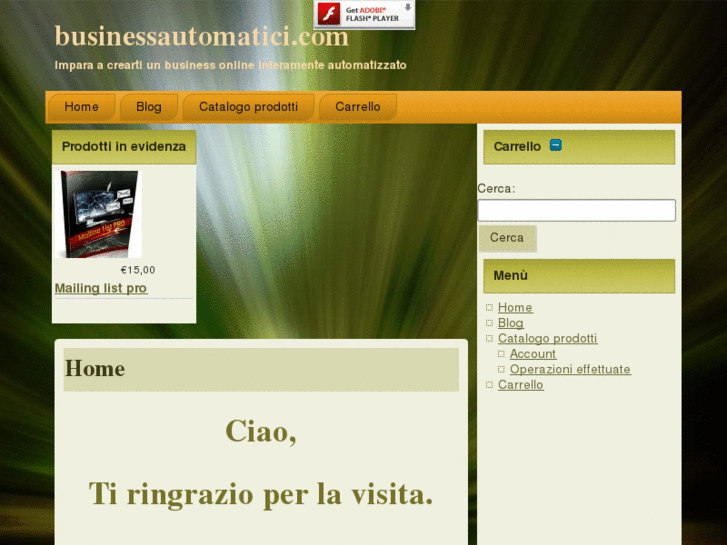 www.businessautomatici.com