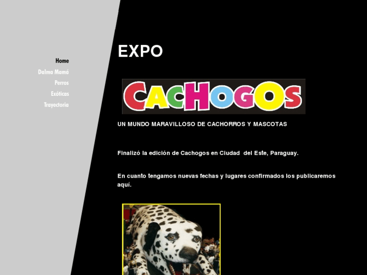 www.cachogos.com