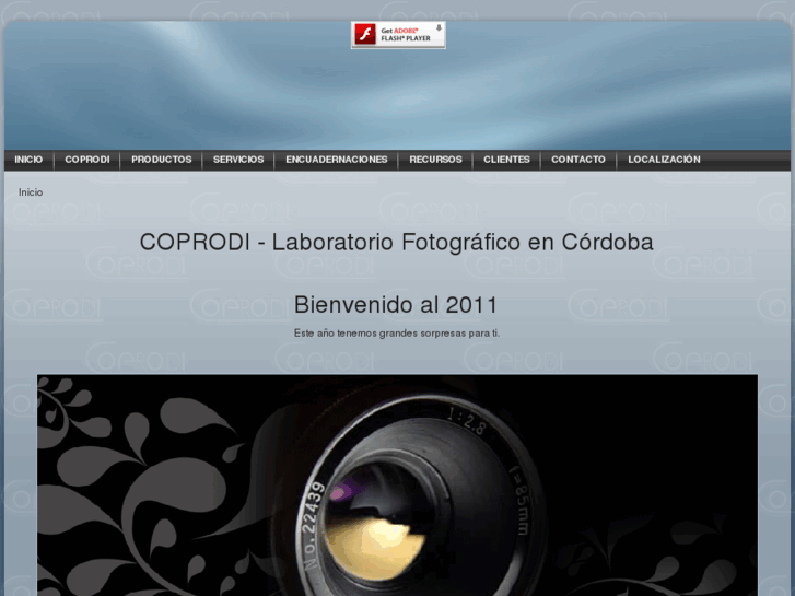 www.coprodi.es