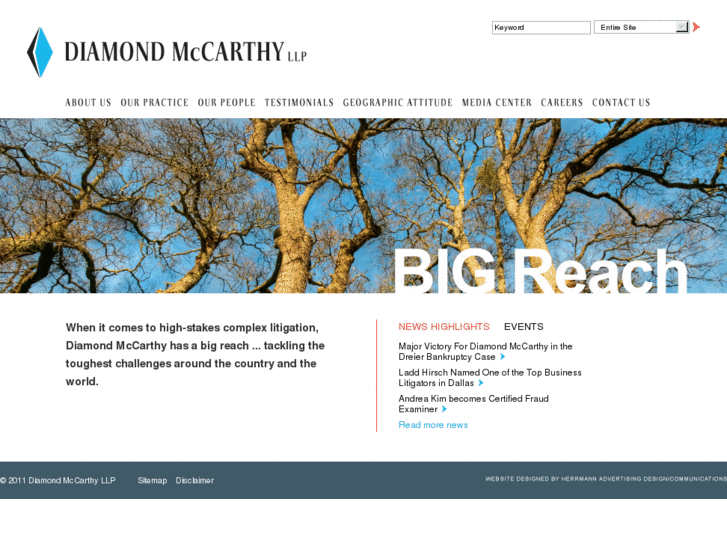 www.diamondmccarthy.com