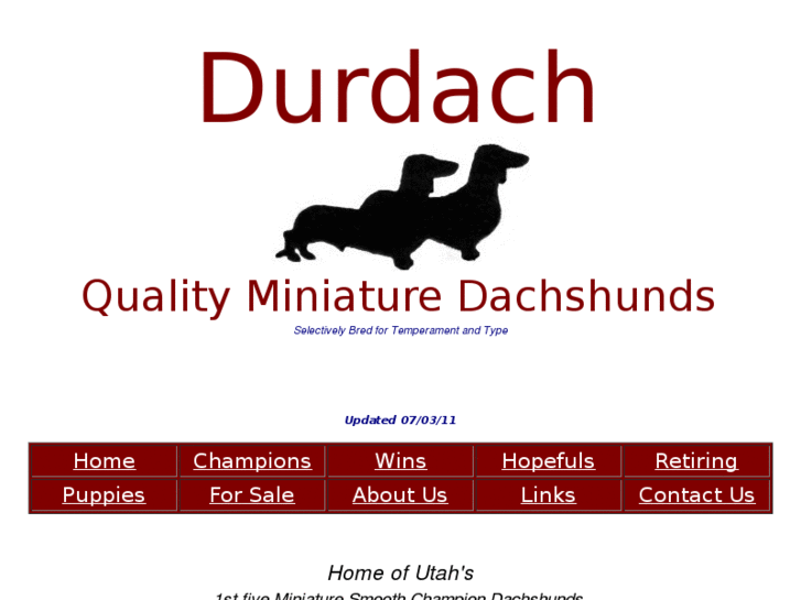 www.durdachminiaturedachshunds.com