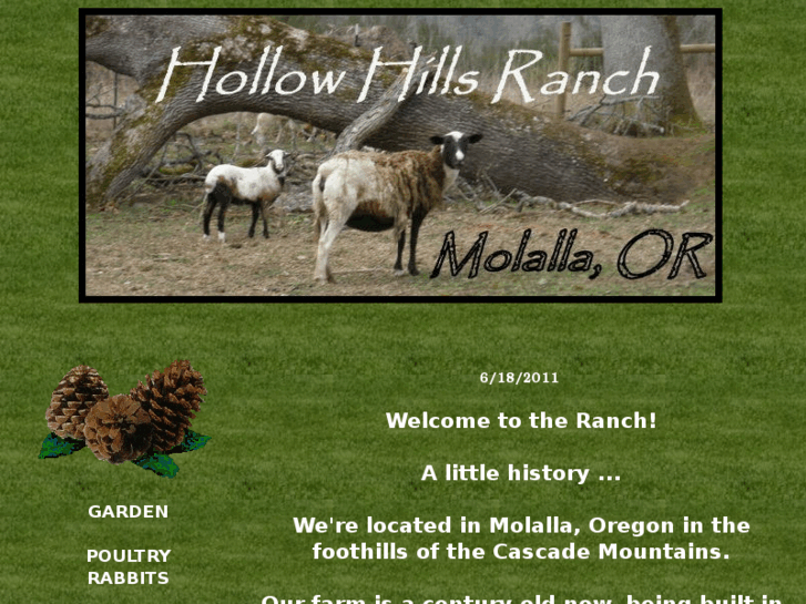 www.hollowhillsranch.com