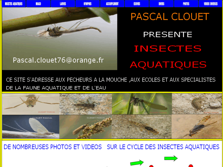 www.insectesaquatiques.com