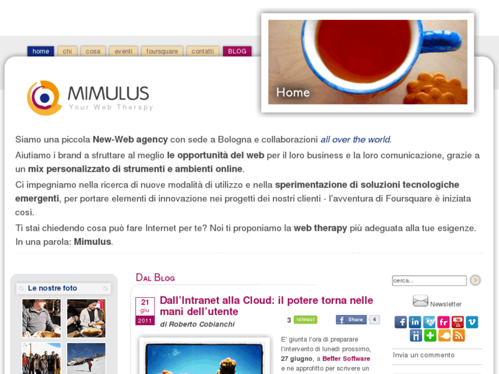 www.mimulus.it