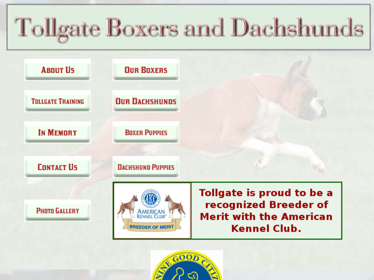 www.tollgateboxersanddachshunds.com