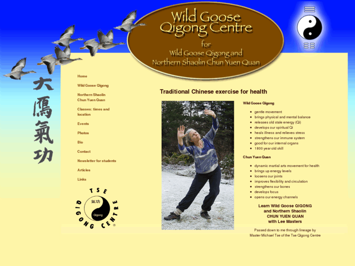 www.wildgooseqigongcentre.com